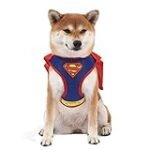 Superman Hundegurt im Vergleich: Die besten DC-Produkte für deinen treuen Begleiter