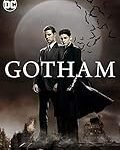 Gotham Ritter: Eine detaillierte Analyse und Vergleich der besten DC-Produkte