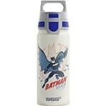 Titelvorschlag: Analyse und Vergleich von DC-Produkten: Die beste Batman-Glasflasche für echte Fans