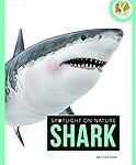 Spotlight auf King Shark: Analyse und Vergleich von DC-Produkten mit dem gefürchteten Meeresbewohner