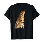 T-Shirt Cheetah: Analyse und Vergleich der DC-Produkte