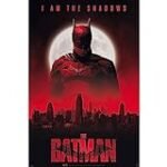 Der ultimative Vergleich: Das japanische Batman-Poster im Kontext von DC-Produkten